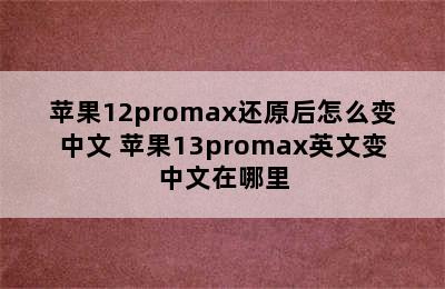 苹果12promax还原后怎么变中文 苹果13promax英文变中文在哪里